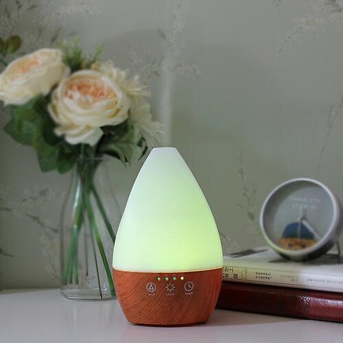 MIST DIFFUSER FREE 10ML ESSENTIAL OIL